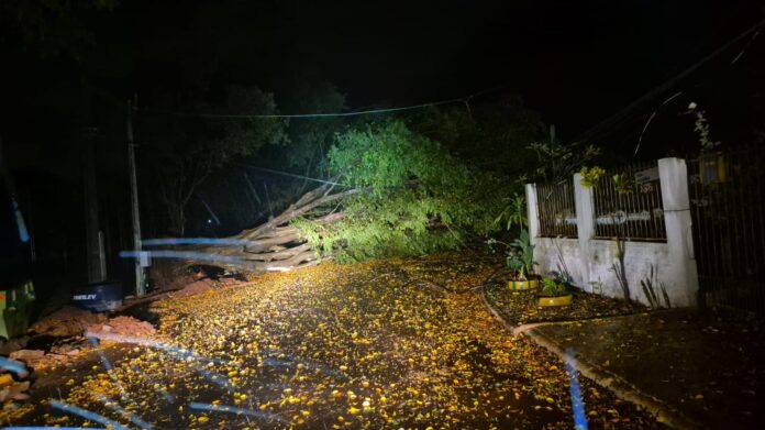 Tempestade com vendaval deixa família desabrigada em Foz do Iguaçu