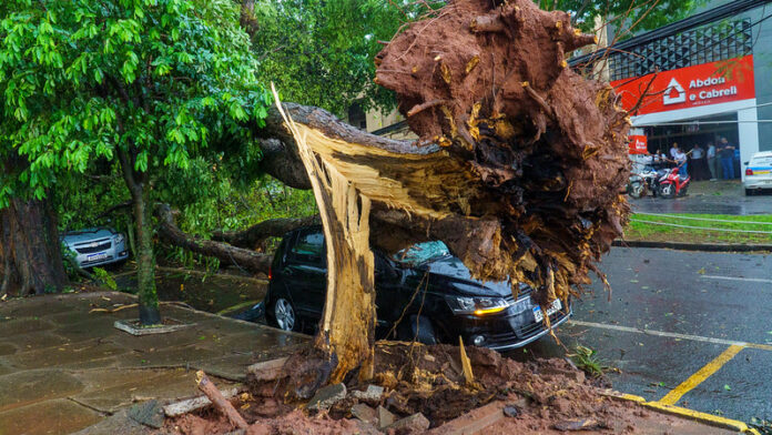 Temporal com ventos de 100 km/h deixa árvores caídas e sem energia em Umuarama