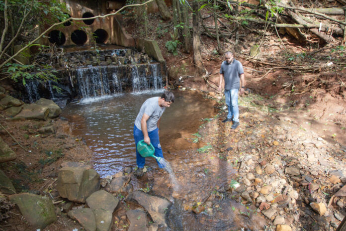 Apucarana reduz infestação de borrachudo com larvicida e parcerias com agricultores
