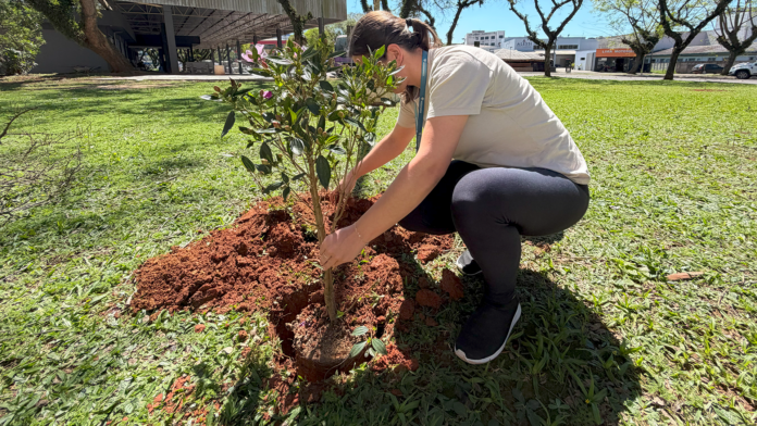 Prudentópolis planta 300 árvores em praças e vias centrais no Dia da Árvore