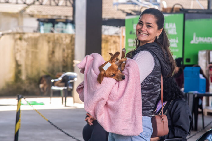 Paranaguá castra 660 cães e gatos gratuitamente até sábado