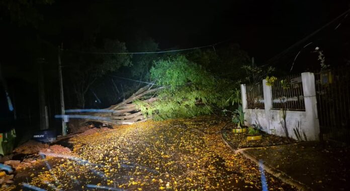 Temporal derruba árvores e postes em Foz do Iguaçu, região Norte é a mais atingida