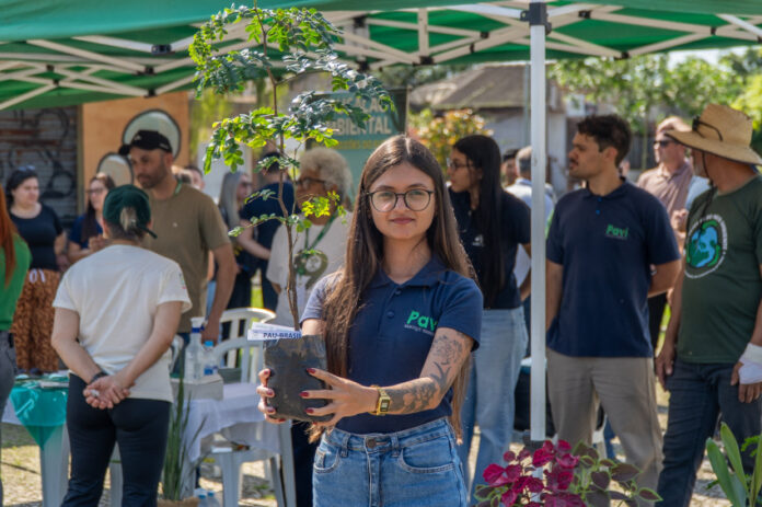 Paranaguá planta 50 cerejeiras na Praça da Paz no Dia da Árvore