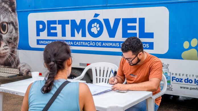 Foz do Iguaçu castrou 5 mil cães e gatos gratuitamente em um ano