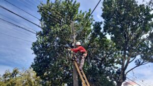 Copel e prefeituras removem 1,5 mil quilos de cabos irregulares em três cidades