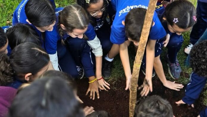 Alunos plantam árvores no Bosque Manuel Müller em comemoração ao Dia da Árvore