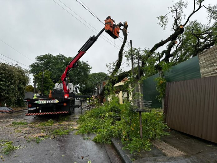 Maringá mobiliza 300 servidores para limpar ruas após temporal com ventos de 122 km/h