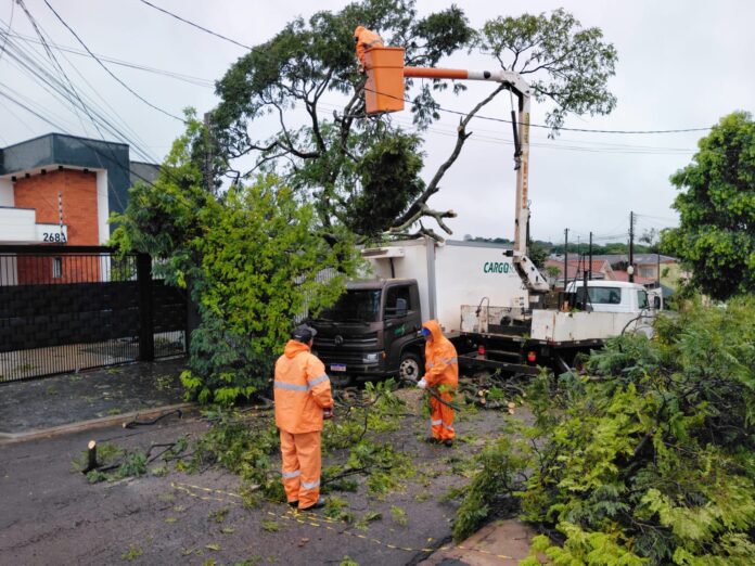 Sarandi mobiliza equipes após temporal com dezenas de árvores caídas