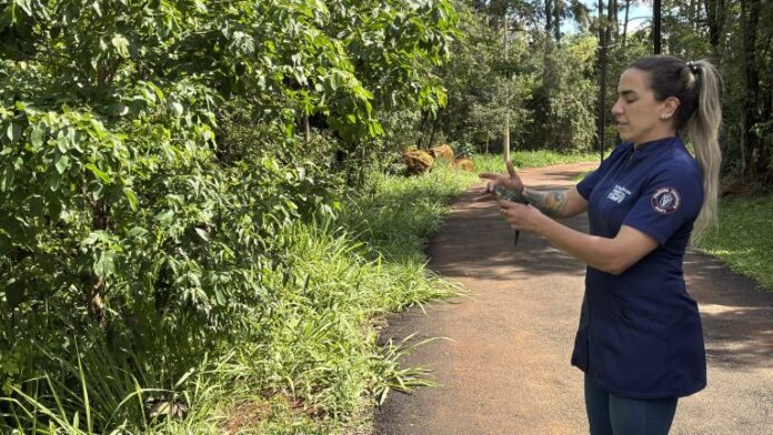 Cambé e UniFil transformam Parque João Paulo II em área de soltura de animais silvestres