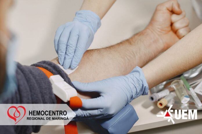Maringá: novas regras para doação de sangue começam a valer nesta quinta