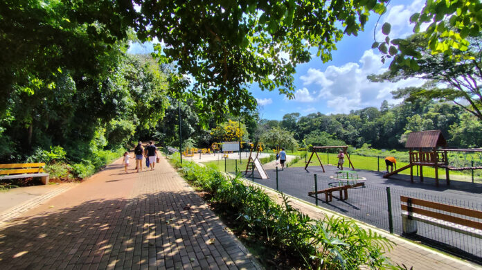 Vem pro Parque muda para 27 de setembro, evento sobre abelhas e polinizadores segue gratuito