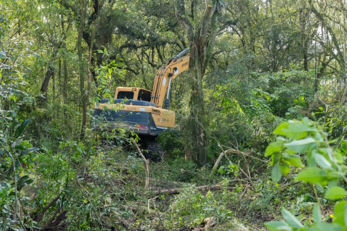 Jardim Maranhão recebe limpeza de córrego para reduzir alagamentos