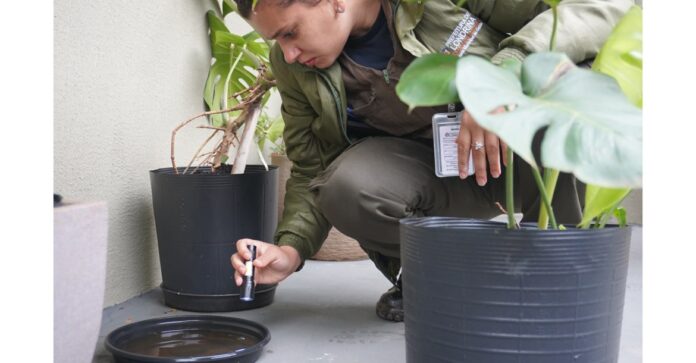 Londrina intensifica combate à dengue na região central com força-tarefa