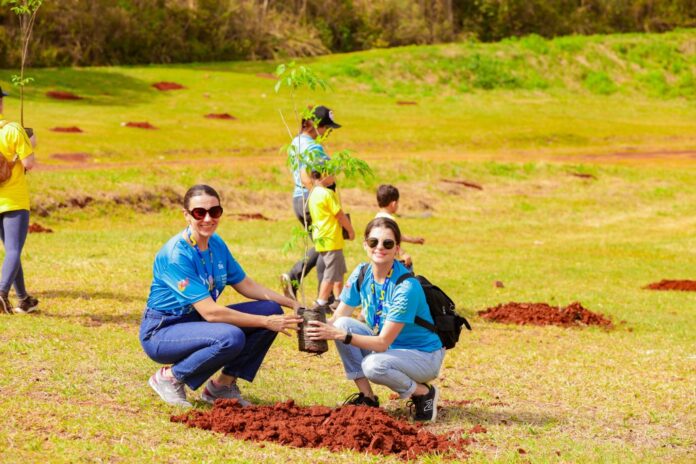Parque da Raposa recebe ação de limpeza e plantio neste sábado em Apucarana