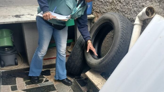 Guaraituba recebe limpeza em massa com remoção de 182 toneladas de resíduos