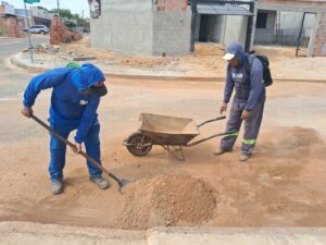 Palmas realiza limpeza em avenidas e manutenção de áreas verdes da capital