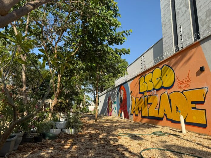 Palmas celebra Dia da Árvore com atividades no Beco da Amizade segunda-feira