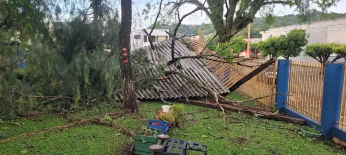 Casinha na árvore do CMEI Delfo Fregonese será reconstruída após tempestade