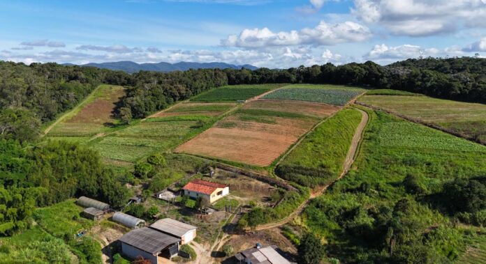 Produtores rurais do Paraná pedem 15 dias a mais para declarar imposto sobre terra