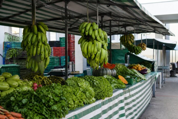Feira do Agricultor de Paranaguá completa 35 anos movimentando economia local