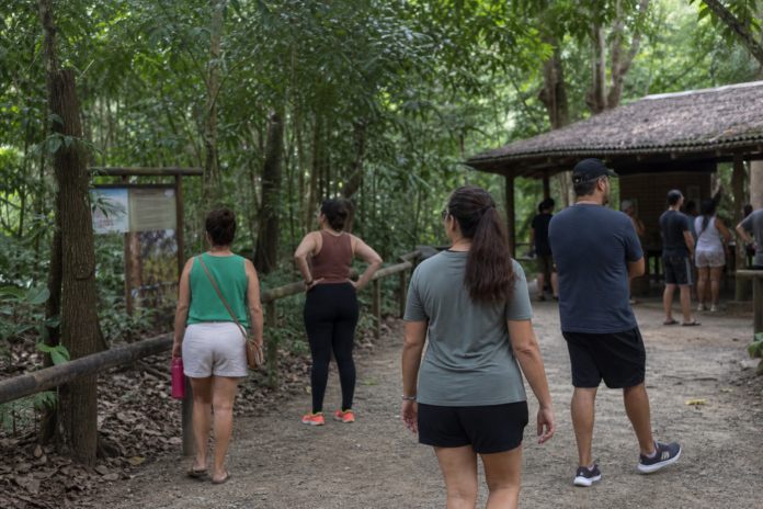 Simpósio reúne 200 especialistas no Iguaçu para debater convivência com fauna selvagem