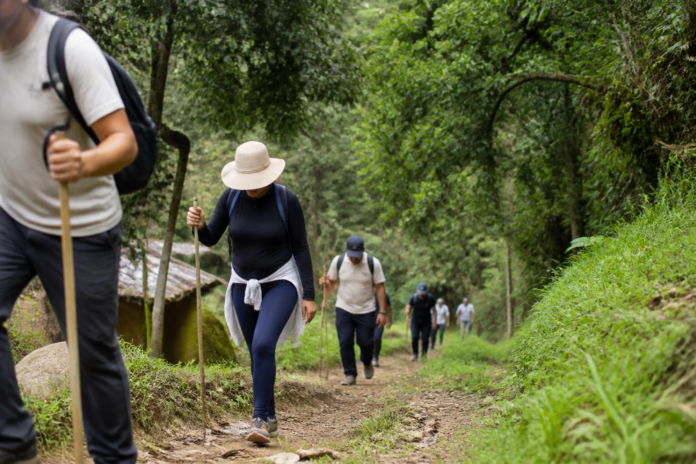 São José dos Pinhais faz 10ª Caminhada na Natureza na Colônia Marcelino em 20 de setembro