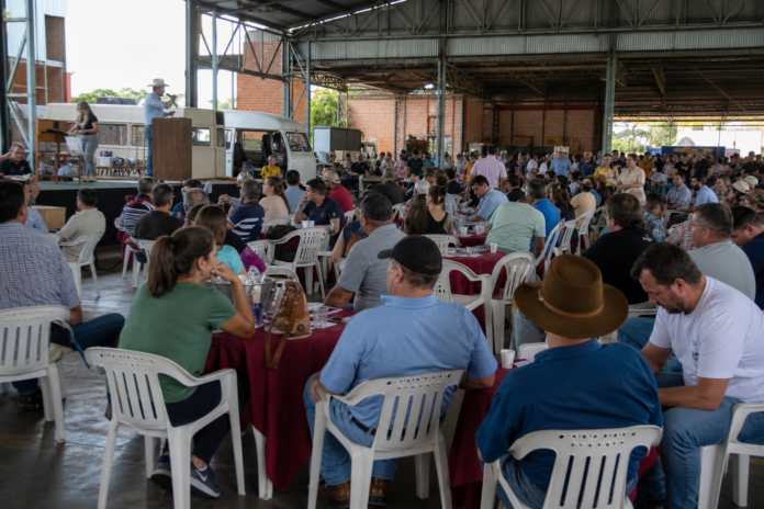 Leilão em Cascavel arrecada R$ 510 mil para APAE e projetos sociais