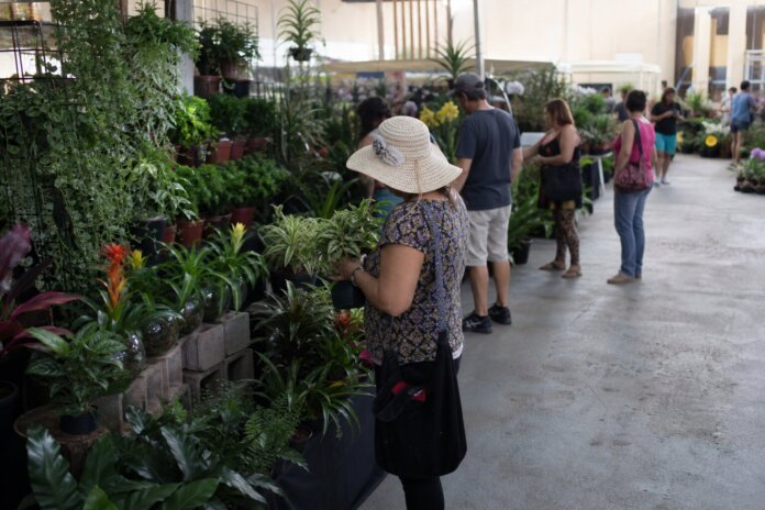 Expoflor reúne 500 espécies de flores e plantas em Maringá de 3 a 14 de setembro