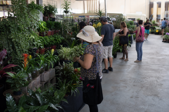 Expoflor reúne 500 espécies de flores e plantas em Maringá de 3 a 14 de setembro