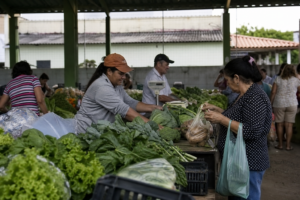 Feirinha da Catedral completa 35 anos movimentando economia e gastronomia de Paranaguá