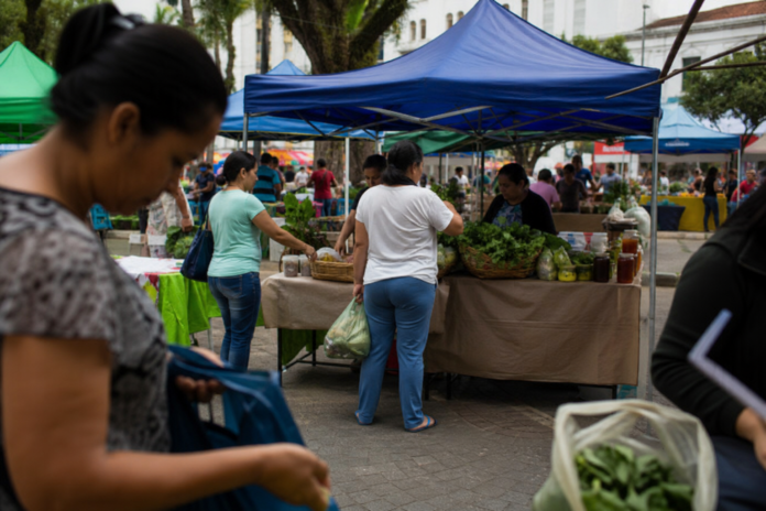 Arapongas realiza 2ª Feira das Mulheres do Campo no dia 12 de setembro