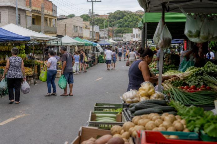Feira Verde passa por 13 bairros de Ponta Grossa em setembro