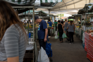 Festoque abre em Apucarana com 106 estandes e expectativa de 50 mil visitantes