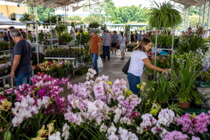 Expo&Flor abre nesta sexta em Ponta Grossa com 250 espécies e 12 dias de programação
