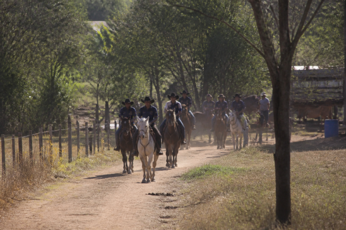 Guarapuava volta a sediar etapa de Enduro Equestre após 12 anos, La Paloma leva 19 conjuntos