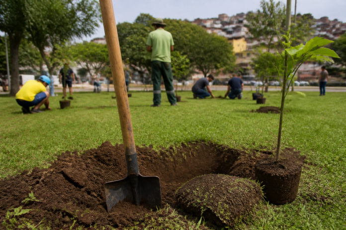 Londrina planta árvores e limpa área pública no Dia da Amazônia, doação de mudas é no Shangri-lá