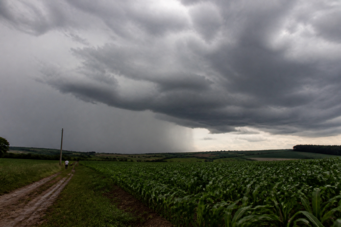 El Niño deve trazer chuvas acima da média ao Paraná entre setembro e novembro