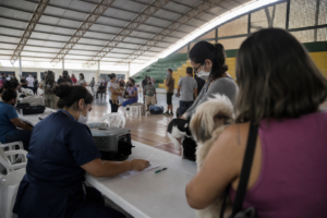 Paranaguá oferece castrações gratuitas de 5 a 12 de setembro