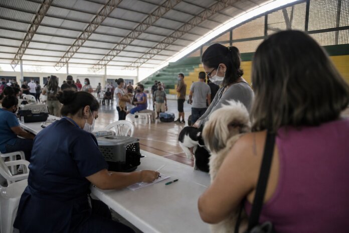 Paranaguá oferece castrações gratuitas de 5 a 12 de setembro