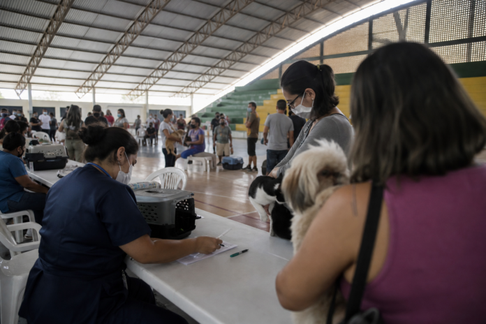 Paranaguá oferece castrações gratuitas de 5 a 12 de setembro