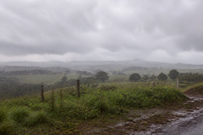 Paraná tem terça-feira chuvosa, setembro deve registrar chuva acima da média