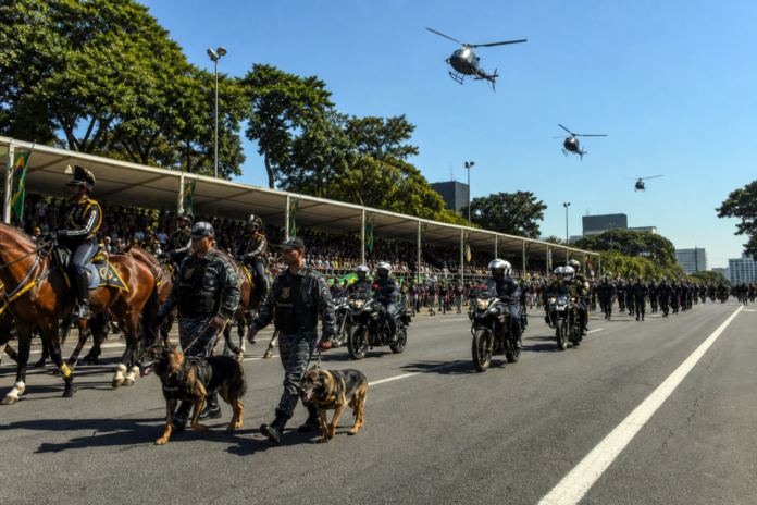 Desfile de 7 de Setembro em Curitiba: aviões, cavalos e 27 cães na apresentação