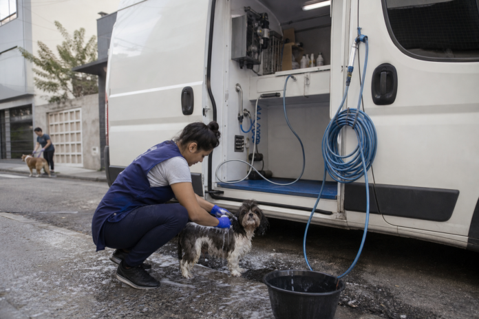 Van especializada leva banho e tosa até a casa em Guarapuava