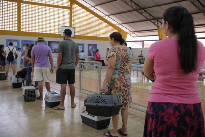 Paranaguá abre 660 vagas gratuitas para castração de cães e gatos: inscrições encerram sexta