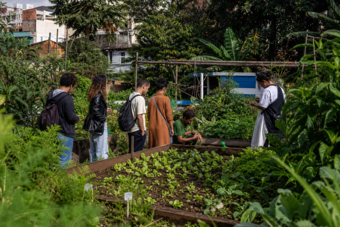 Horta Urbana de Ibiporã recebe 70 alunos de escola privada de Londrina