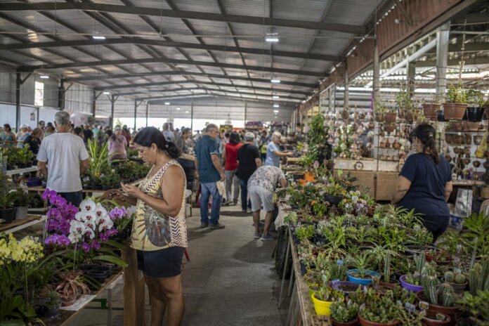 Ecoflores movimenta feriado em Foz do Iguaçu com 300 espécies de plantas e produtos coloniais