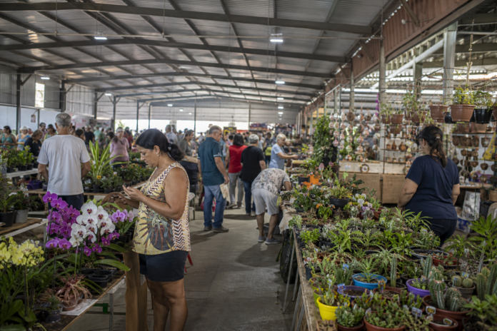 Ecoflores movimenta feriado em Foz do Iguaçu com 300 espécies de plantas e produtos coloniais