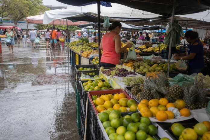 Primavera traz 10 frutas com vitaminas e fibras para diversificar a alimentação