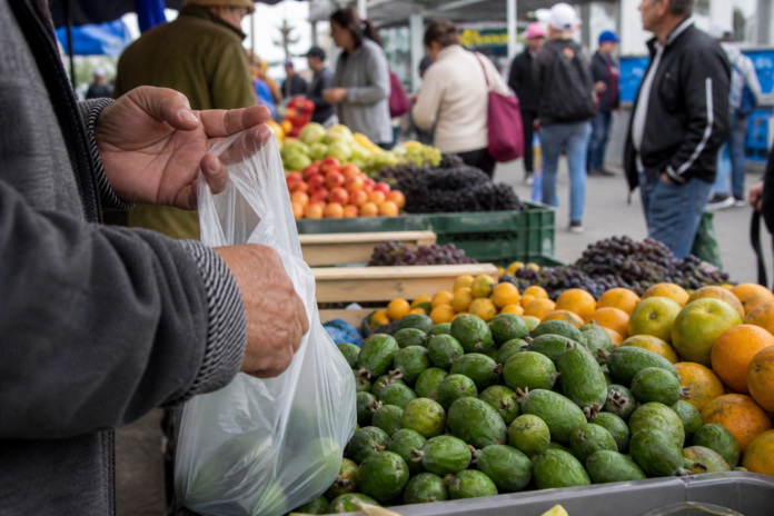 Feijoa, fruta nativa do Sul, prospera no exterior enquanto brasileiros a desconhecem