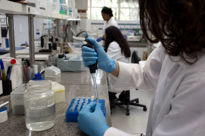Prêmio Carolina Bori abre inscrições para meninas e mulheres cientistas